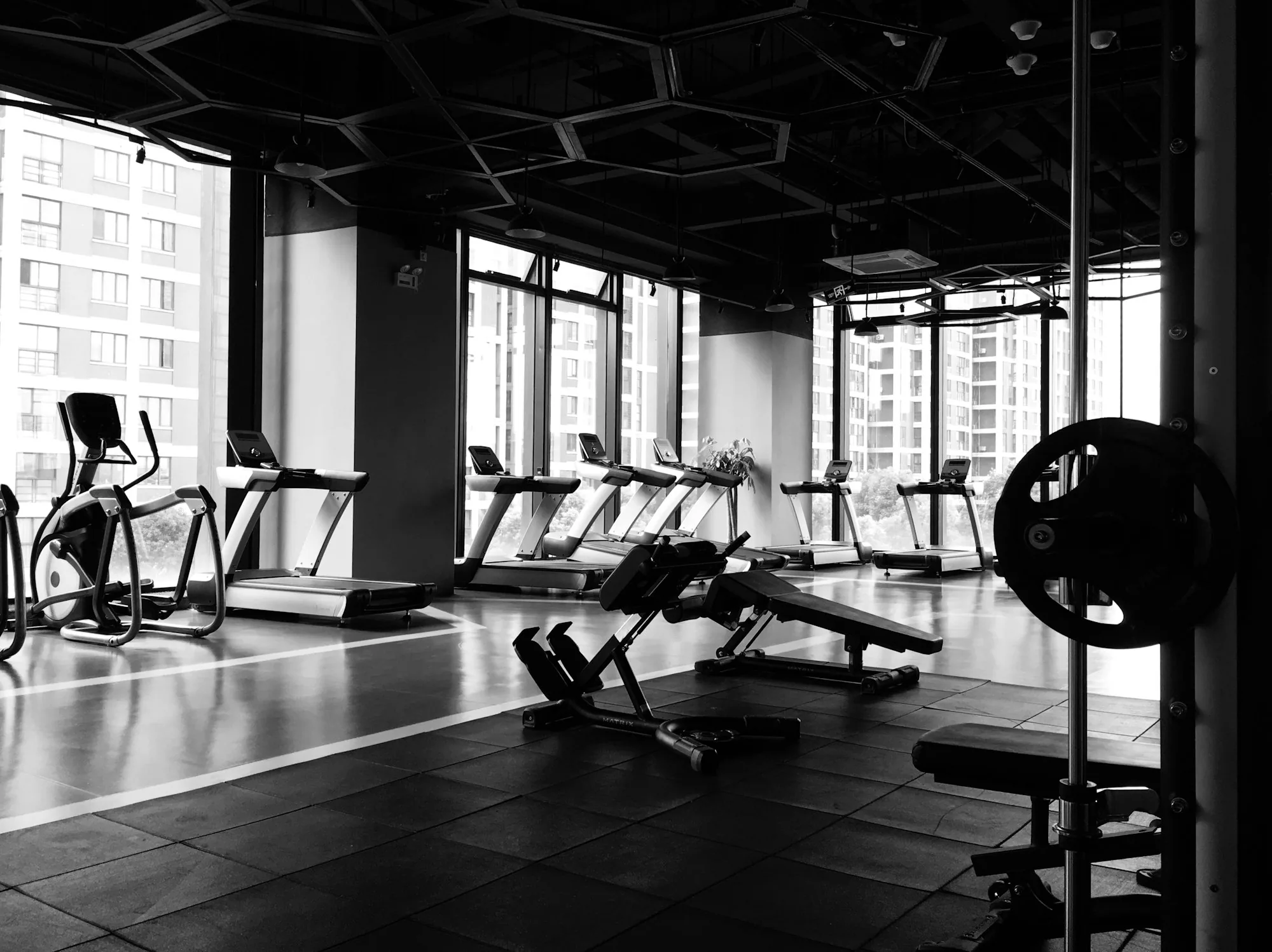Gymnasium